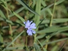 DSC_05861.jpg